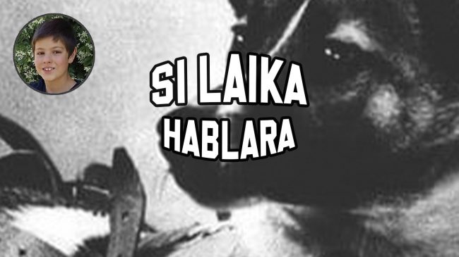 Laika Laika