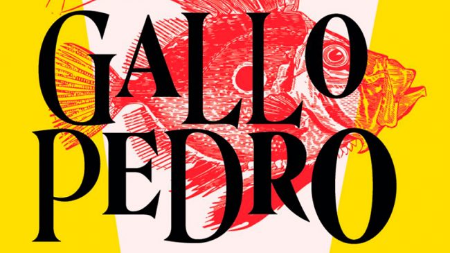 Festival-Inclusivo-de-Cortometrajes-Gallo-Pedro-1