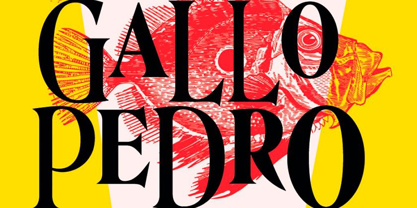 Festival-Inclusivo-de-Cortometrajes-Gallo-Pedro-1