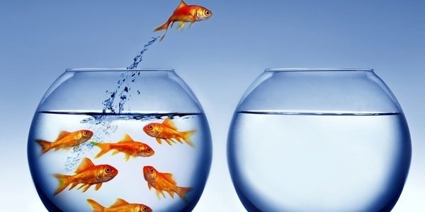 crear para crecer zona de confort salir de zona de confort crear para crecer