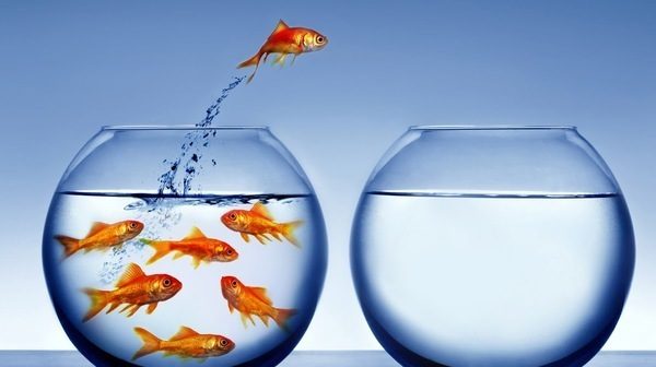crear para crecer zona de confort salir de zona de confort crear para crecer