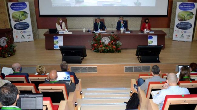jornadas-crue-sostenibilidad Jornadas CRUE Sostenibilidad