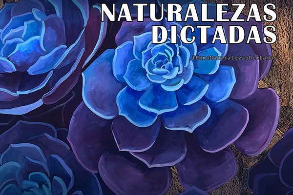 naturalezas dictadas con Sol Ruiz y Miralles