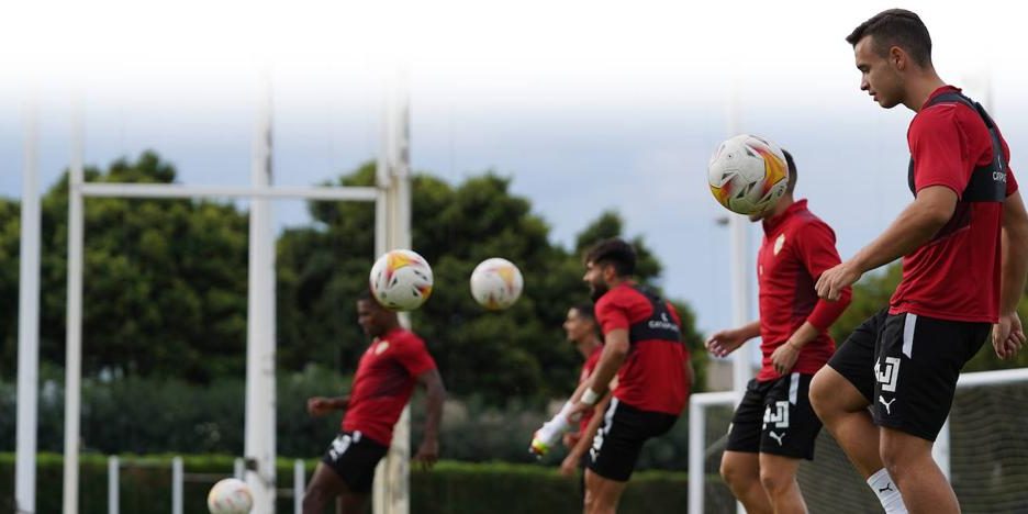 pelotas finde Finde Deportivo DDR