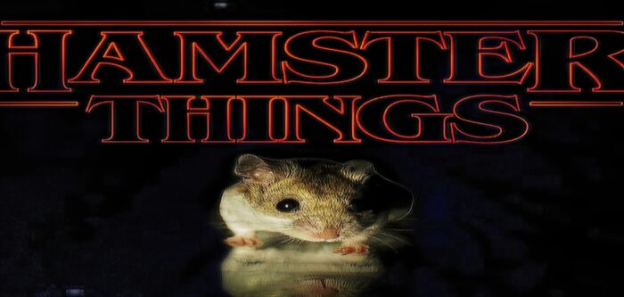 Prueba animal - Mascotas