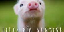 vegana dia veganismo 21 dia Mundial Veganismo Días de Radio