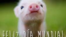 vegana dia veganismo 21 dia Mundial Veganismo Días de Radio