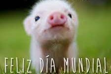 dia Mundial Veganismo Días de Radio