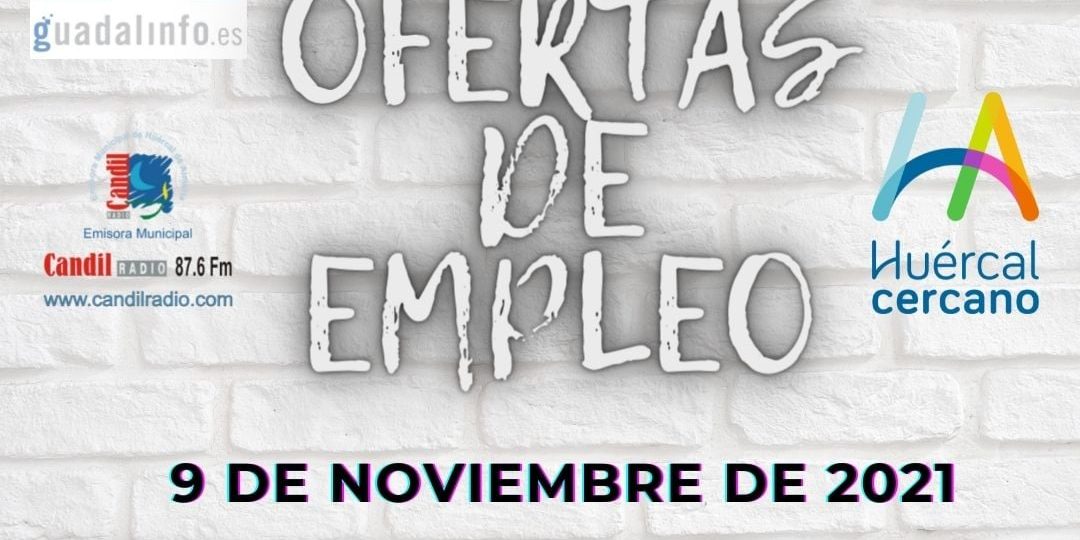Ofertads de Empleo Ofertas de empleo - Guadalinfo - Candil Radio