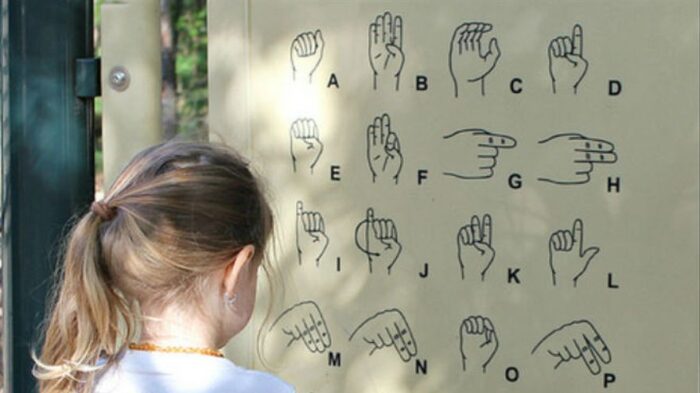 lengua de signos Lengua de signos asignatura optativa