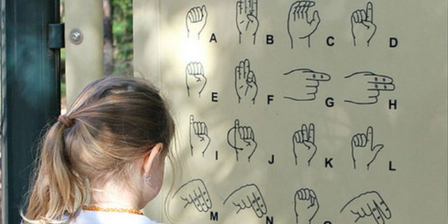 lengua de signos Lengua de signos asignatura optativa