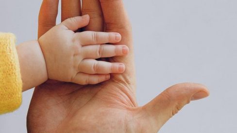 Transmisión Vegana con Amor