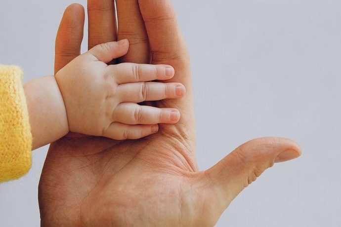 Transmisión Vegana con Amor