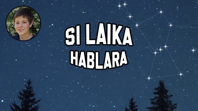 Las constelaciones Las constelaciones