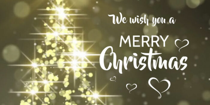 I wish you a merry Christmas