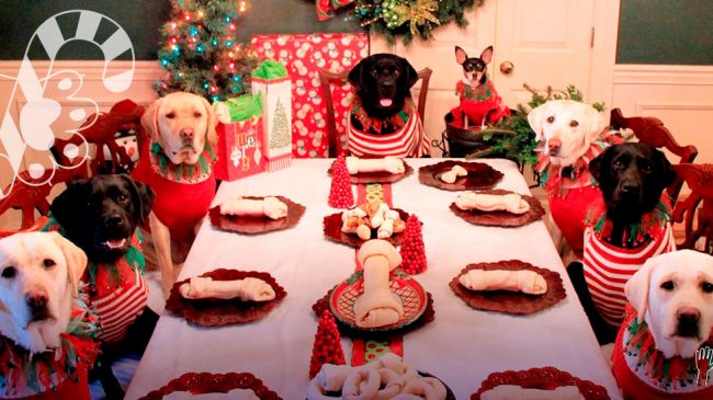cena-navidena-especial-para-tu-perro Nuestras mascotas en Navidad