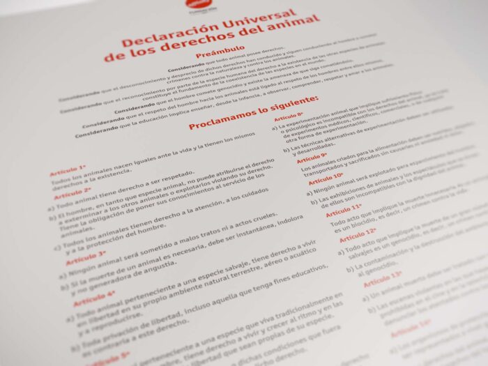 declaracion-universal-de-los-derechos-del-animal Declaración Universal Derechos del Animal