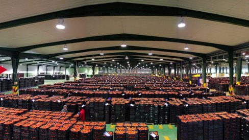 Nova Ciencia con CASI.