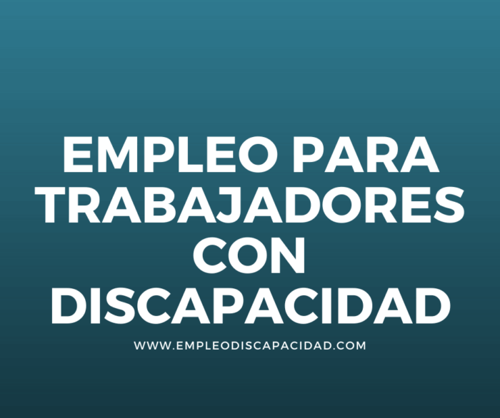 Empleo-para-trabajadores-con-discapacidad-2 Balance Empleo Discapacidad 21