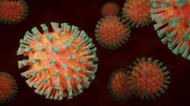corona-virus Nova Ciencia Días de Radio Cv