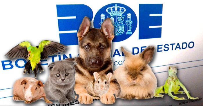 Sensibilidad legal y animal.