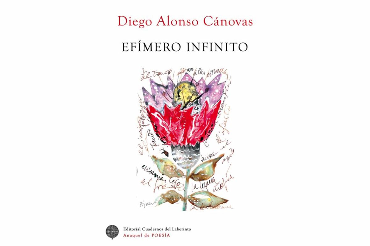 Libro Efímero Infinito