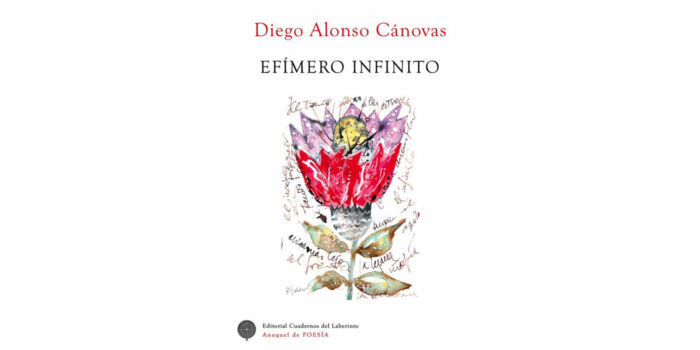 Libro Efímero Infinito