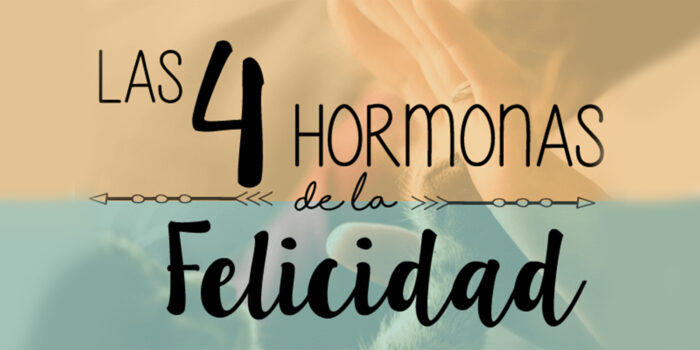 las-4-hormonas-de-la-felicidad las 4 hormonas de Felicidad