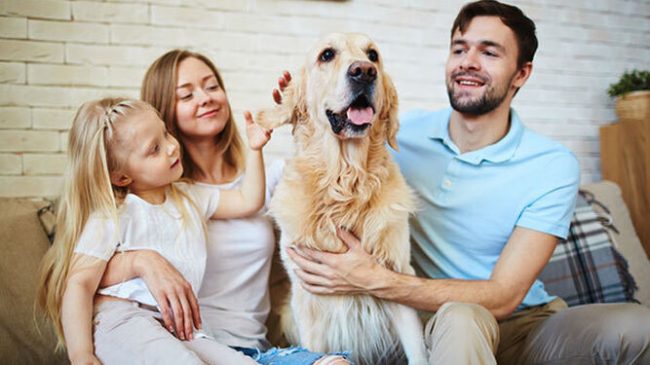 mascotas-miembros-familia-juridicamente-hablando 1639046959 149279049 667x375 Mascotas miembros de Familia a nivel Jurídico.