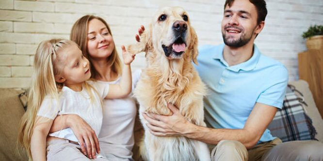 mascotas-miembros-familia-juridicamente-hablando 1639046959 149279049 667x375 Mascotas miembros de Familia a nivel Jurídico.
