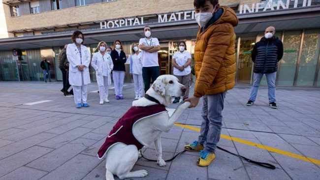 niebla-hospital-materno-infantil-l Sanara Mañana - Terapia Canina