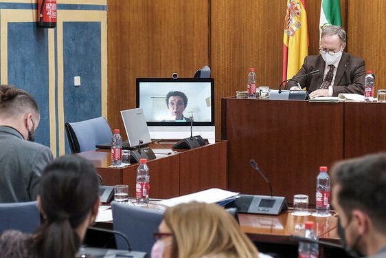 presidenta-LUNA-expone-reivindicaciones 1653445018 151367983 667x375 comisión mujer discapacidad Andalucía.