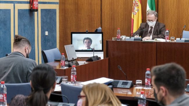 presidenta-LUNA-expone-reivindicaciones 1653445018 151367983 667x375 comisión mujer discapacidad Andalucía.