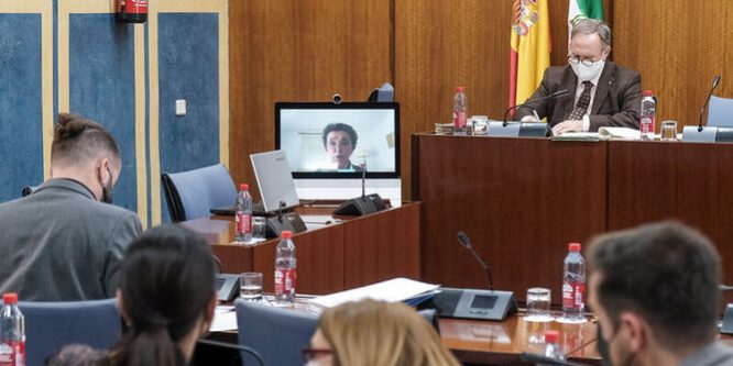 presidenta-LUNA-expone-reivindicaciones 1653445018 151367983 667x375 comisión mujer discapacidad Andalucía.