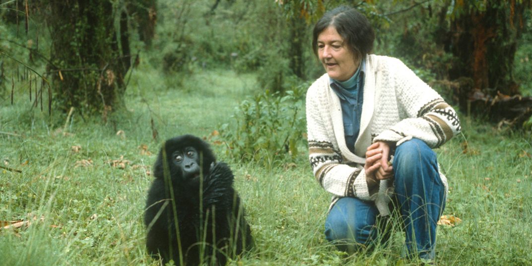 Dian Fossey