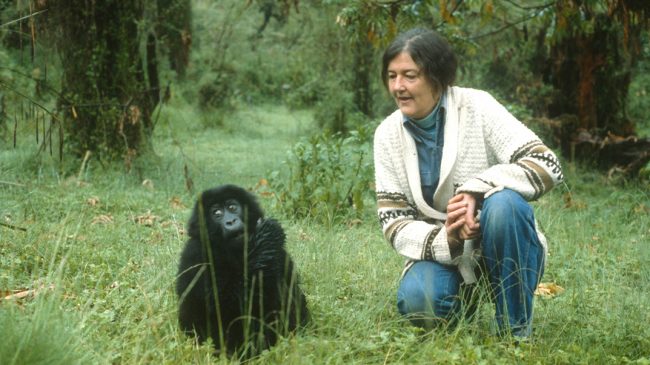 Dian Fossey