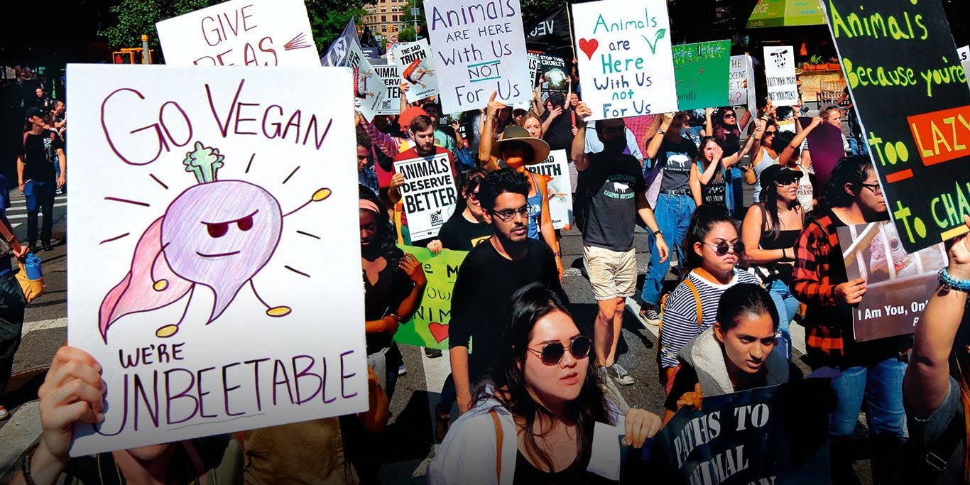 revolucion-vegana-el-activismo-social-en-torno-a-la-comida-1366×768 ACCION VEGANA