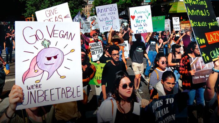 revolucion-vegana-el-activismo-social-en-torno-a-la-comida-1366×768 ACCION VEGANA