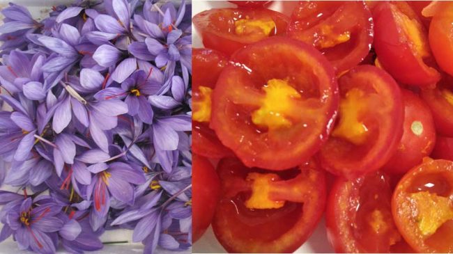 tomate-y-azafran