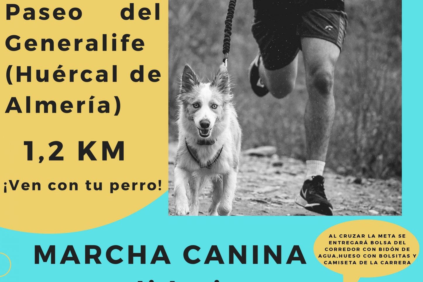 279785442 365888995574050 2651156282933296428 n