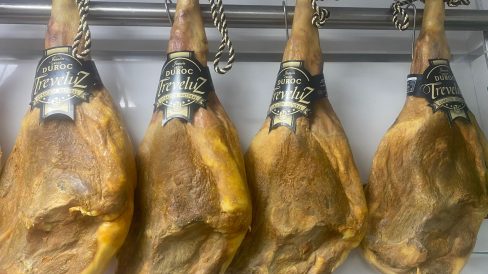 ba03de07-46c2-42c7-8d7a-da4ebd34f375