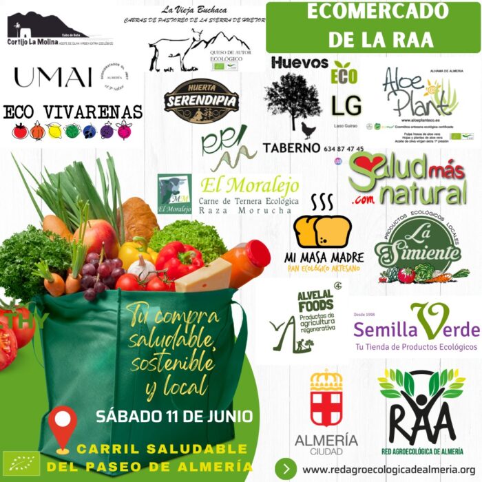 285564219 462575462339415 1874824019962278600 n