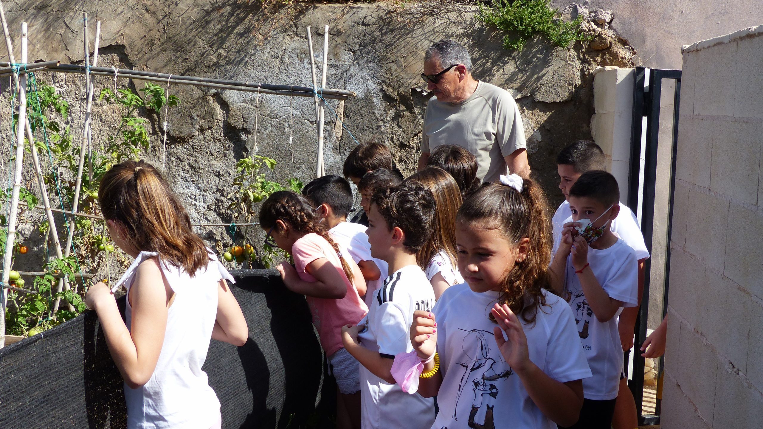 Visita La Jarilla Huerto 3B (5) Visita Huerto La Jarilla 3 B