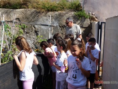 Visita Huerto La Jarilla 3 B