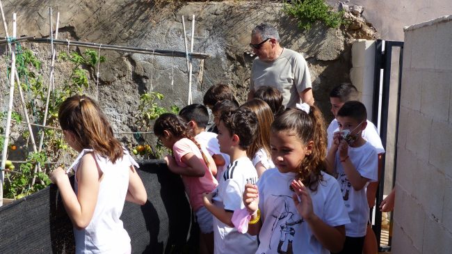 Visita Huerto La Jarilla 3 B