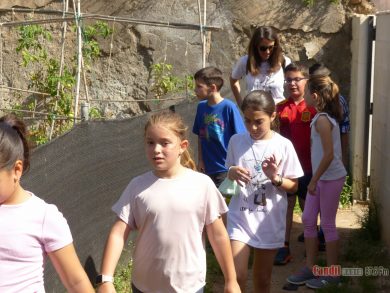 Visita huerto La Jarilla alumnos 3B