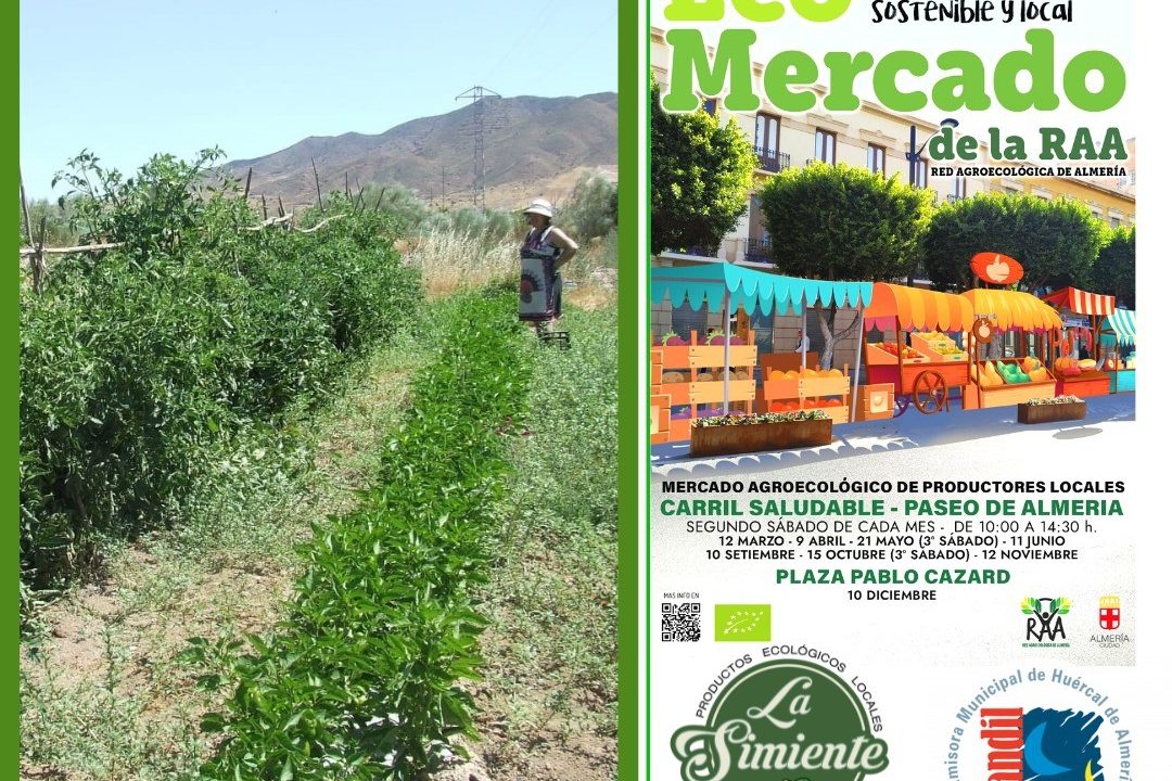 305116684 528264462437181 73661829588150019 n