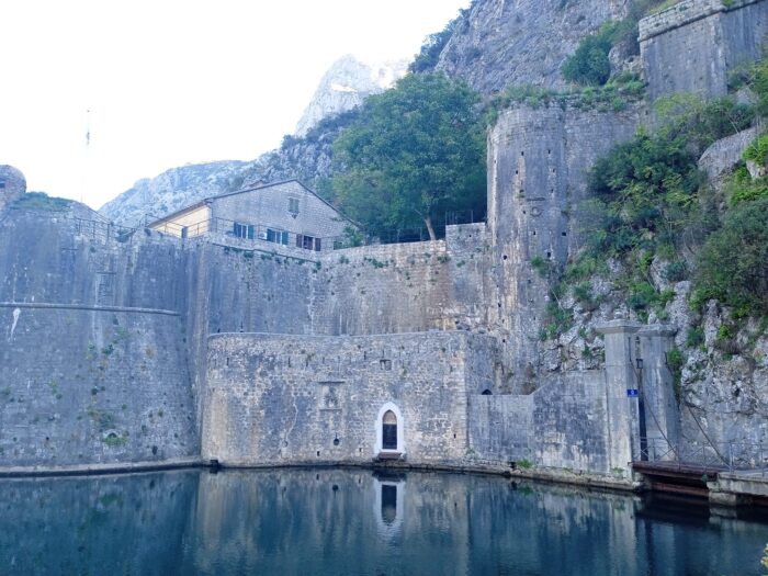 309685172 10230014861934559 985442464769328463 n