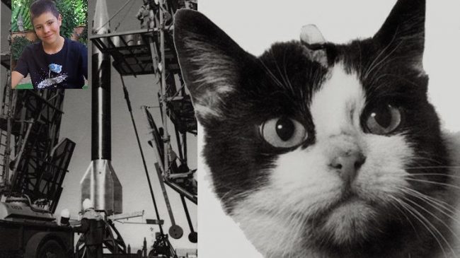 felicette2 si Laika Hablara - La gata astronauta Felicitte