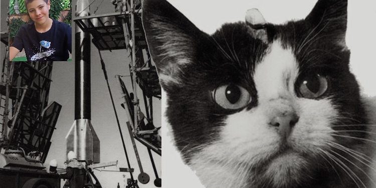 felicette2 si Laika Hablara - La gata astronauta Felicitte